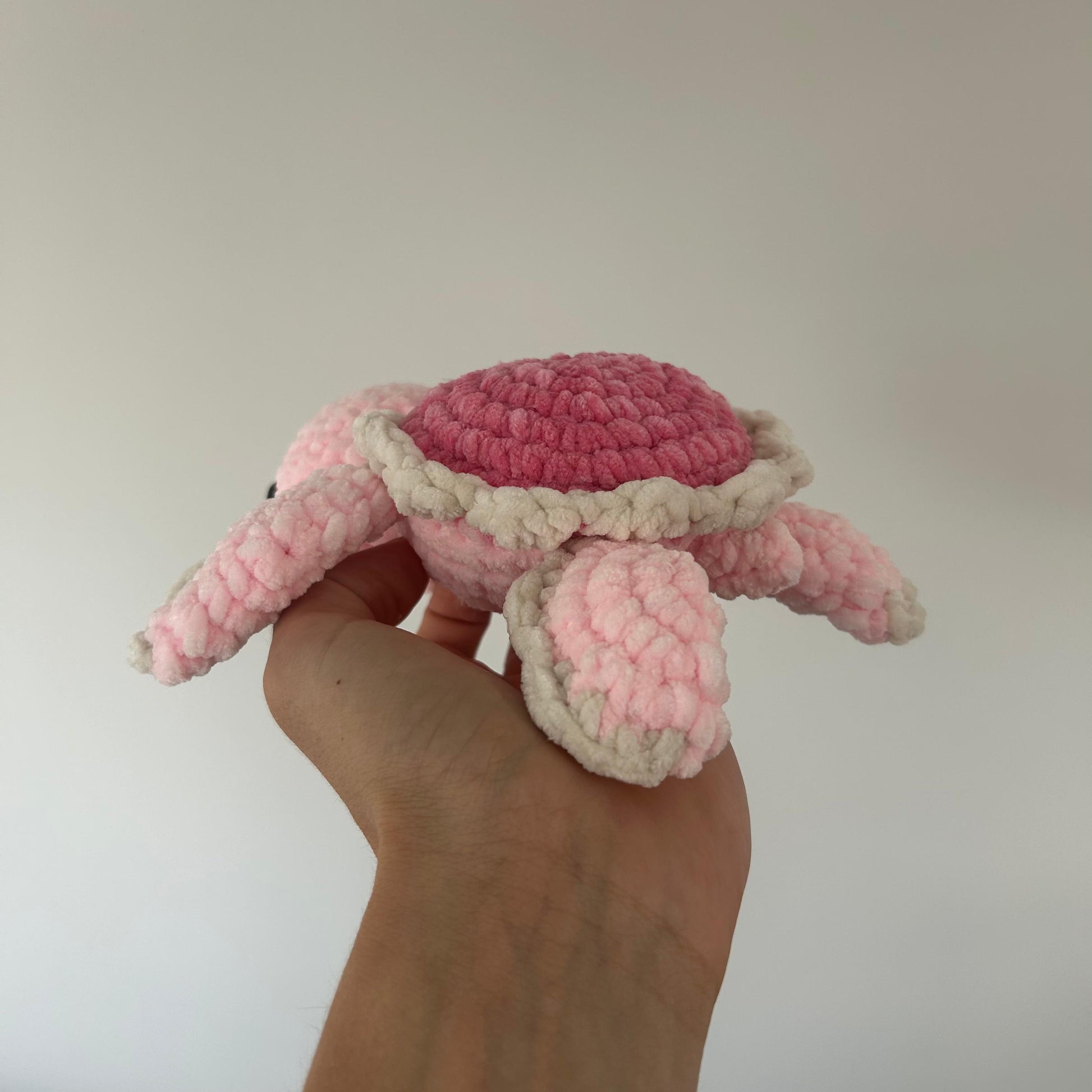 Pink Turtle