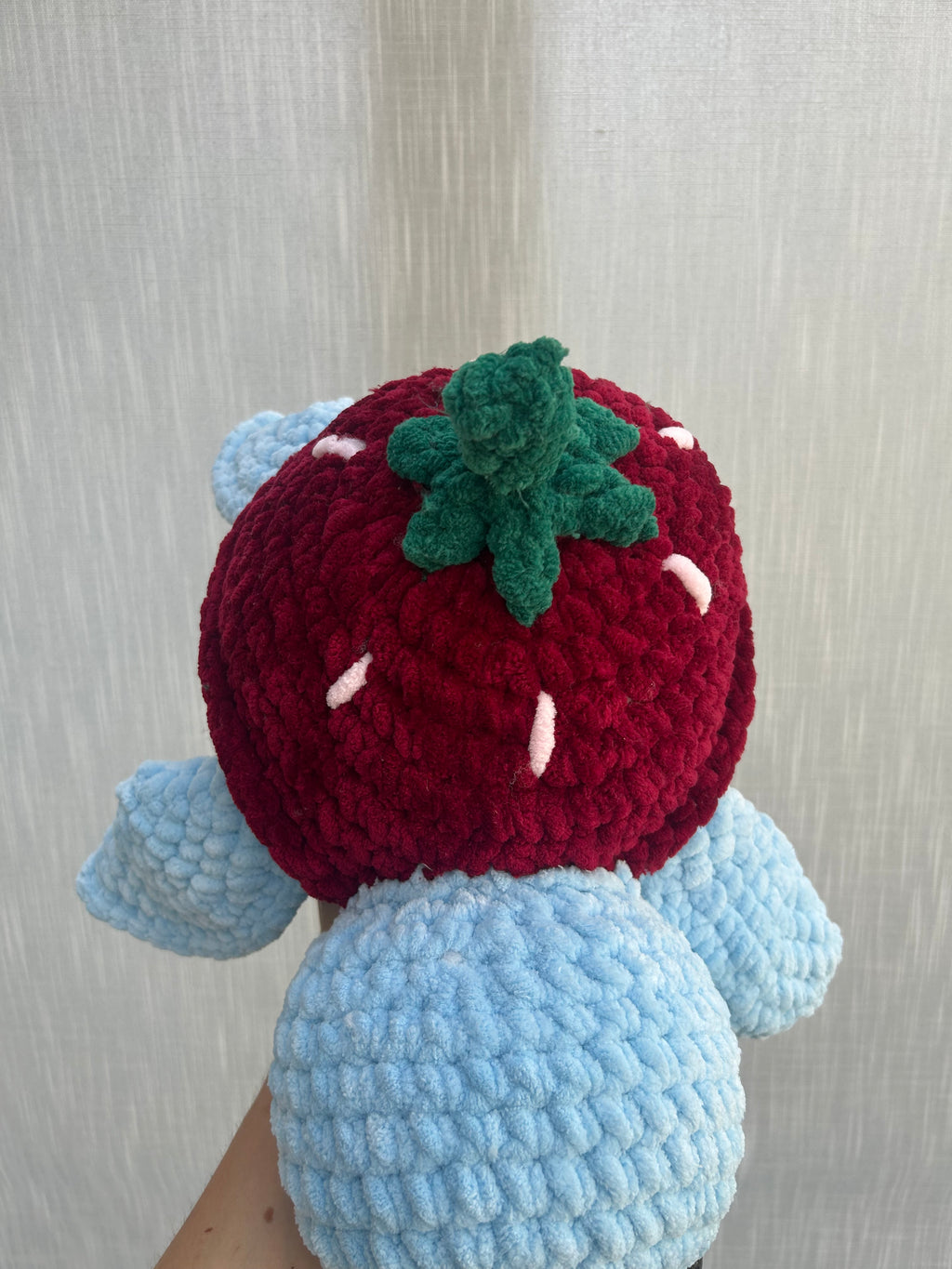 Large Strawberry Turtle