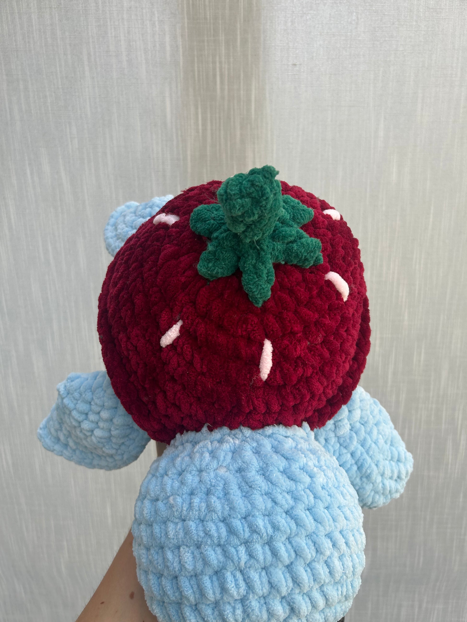 Large Strawberry Turtle